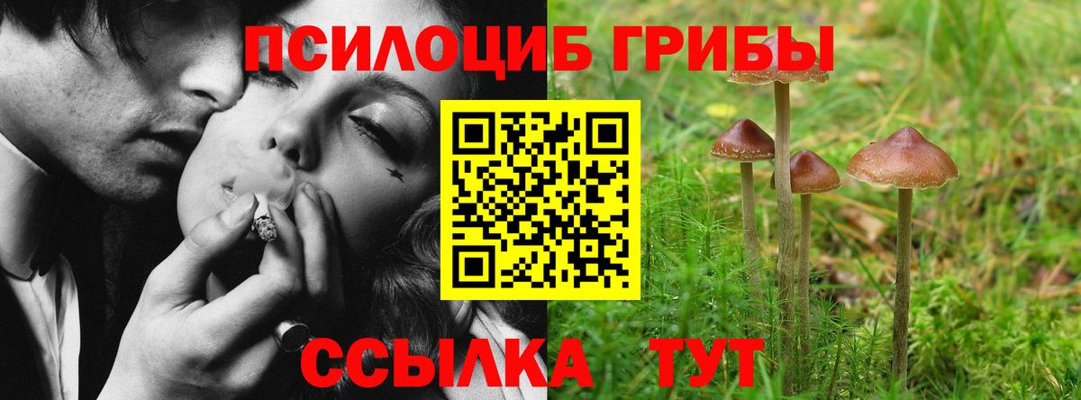 Галлюциногенные грибы Бузулук