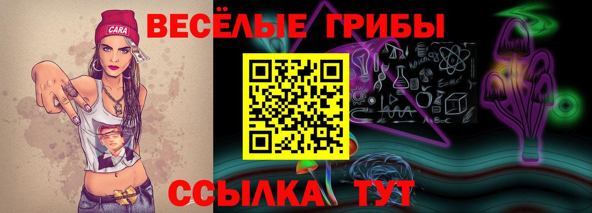 магазин    Галлюциногенные грибы MAGIC MUSHROOMS  Вход с VPN  Псилоцибиновые грибы прущие грибы  Бузулук 